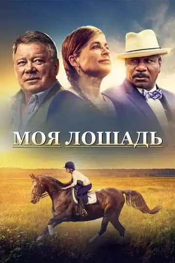 Смотреть онлайн Моя лошадь (2016) в хорошем качестве