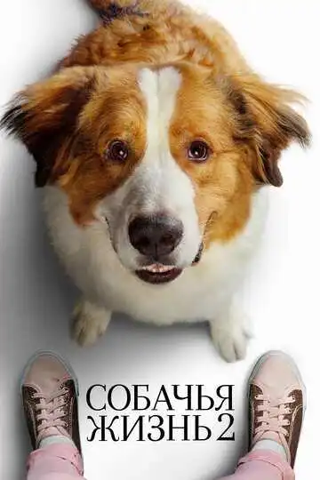 Смотреть онлайн Собачья жизнь 2 (2019) в хорошем качестве