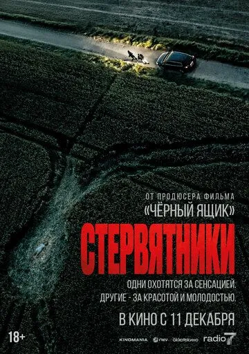 Смотреть онлайн Стервятники (2025) в хорошем качестве